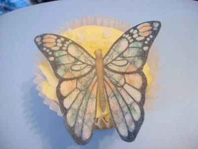 SHARONS EDIBLE BUTTERFLIES 12 PRECUT Mosiac Edible wafer/rice paper Butterflies cake/cupcake toppers