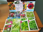 Flower/Herb, Salad seeds x 12