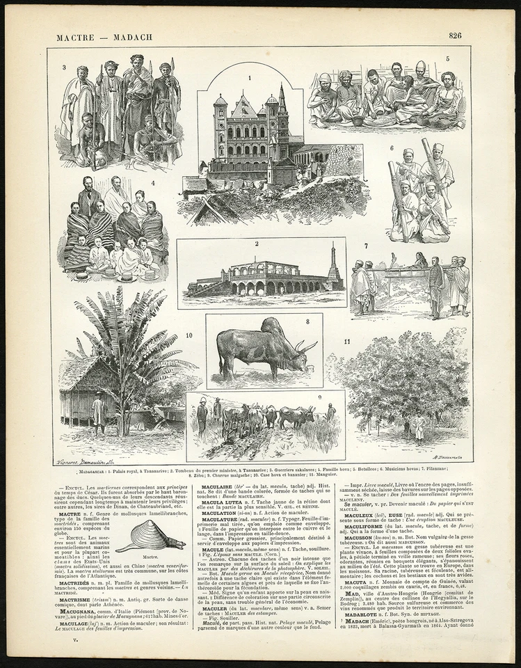 Antique Print / Map-MADAGASCAR-SCENES-COSTUME-Larousse-1897 - Image 1 of 2