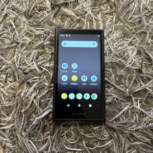SONY NW-A106 Black WALKMAN 32GB Hi-Res Audio Player MP3 - English Menu - Picture 1 of 4