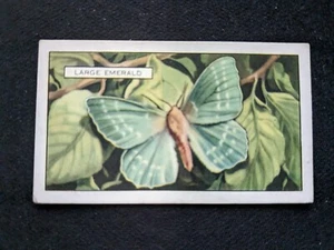 1938 Gallaher Butterflies & Moths Card # 22 Large Emerald (EX) - Picture 1 of 3