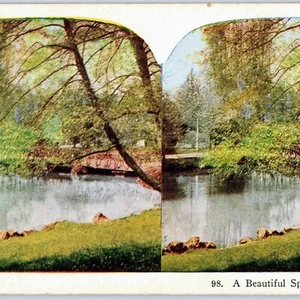 ok. 1900 Mediolan, Włochy Piękny punkt Natura Staw Stereoview Drzewo Jezioro Europejskie V35 - Zdjęcie 1 z 3