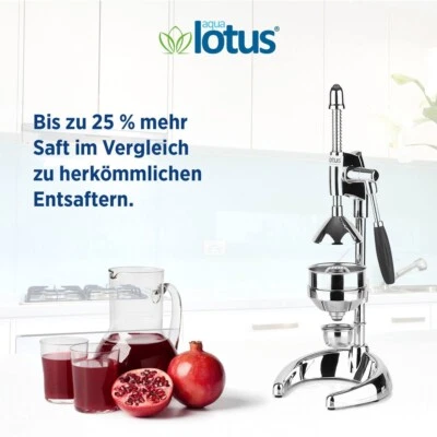 SPREMIAGRUMI SPREMIAGRUMI LEVA SPREMIAGRUMI MANUALE LUNA CROMO - Immagine 1 di 4