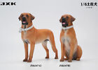 JXK 1/6 Tosa Inu décoration de scène canine compétitive accessoire modèle animal cadeau
