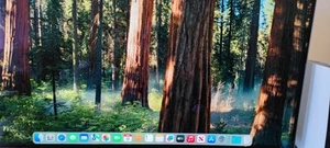 Latest OS Sequoia Apple Mac Mini A1347 Intel Core i5, 16GB, 240GB SSD - Picture 1 of 13
