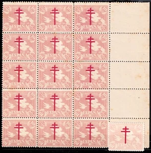 ESPAGNE / ESPAÑA Ed.960 10c salmón oscuro Pro Tuberculosos 1942 Bloc de 15 ** - Foto 1 di 1