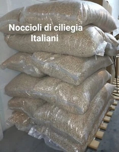 Noccioli di ciliegia Italiani, 3 kg di noccioli per creare cuscini del benessere - Foto 1 di 1