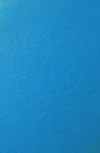 100 x A4 Lederkarton blau 270g/m² Bindekarton Deckblatt Leder Clairefontaine - Bild 1 von 1