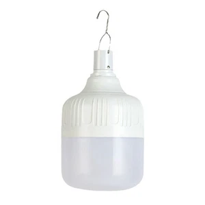 Rechargeable Bulb for Portable Emergency Lighting, 100W U2X58147 - Bild 1 von 6