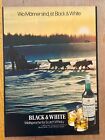Black & White Whisky Schlittenhunde Polar Original 1971 Vintage Advert Werbung