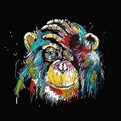 5D DIY Monkey Diamond Art Painting for Adults & Kids 40 x 30cm,