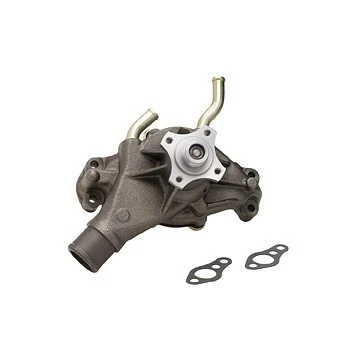 Bomba de agua del motor Dayco para Workhorse P32 2001-2002 5,7 L V8 Foto 1 de 2