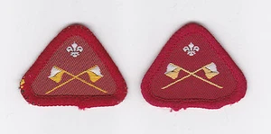 1980-2000 BRITÁNICO / UK SCOUTS - CUB SCOUT COMUNICADOR INSIGNIA DE COMPETENCIA 2 VAR - Imagen 1 de 2
