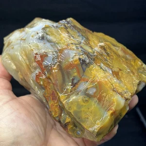 Ágata a lunares 4 lb 2 oz. Madras Oregon lapidario áspero para cabbing #38 - Imagen 1 de 11