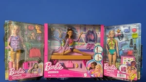 Barbie Gymnastik Meeresbiologe Pet Rescue You Can Be Anything SET 3 PUPPEN KONVOLUT - Bild 1 von 8