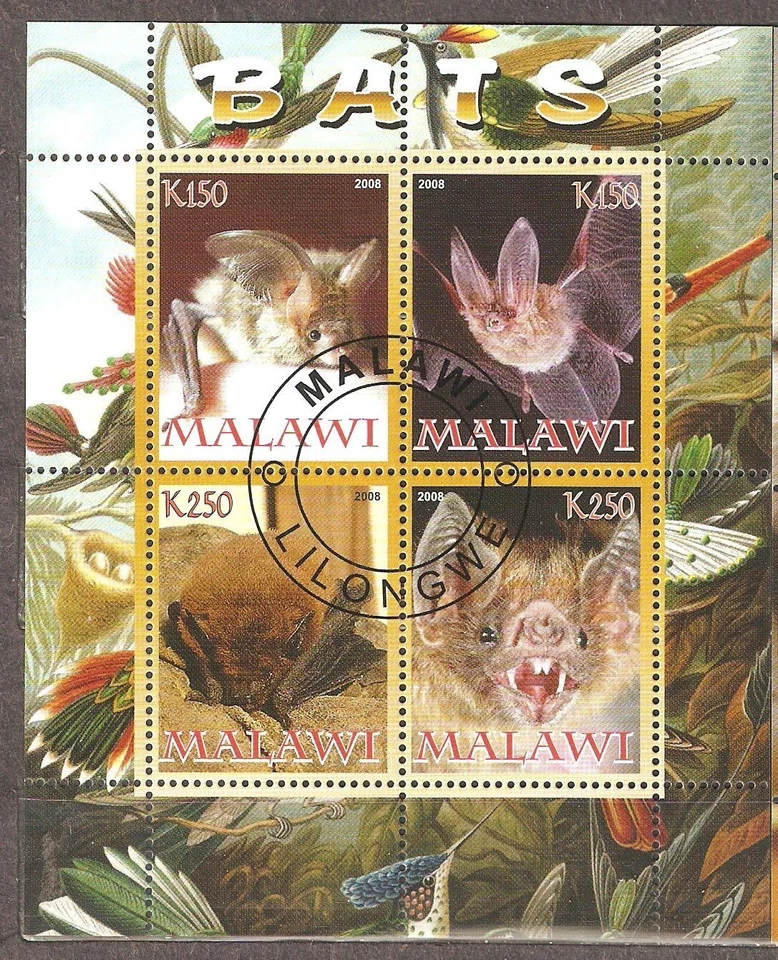 Malawi: used (CTO) block of 4 stamps, Animals - buts, 2008 - Image 1 of 1