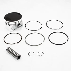 67 mm 16 mm Pin Pistón Anillo Kit ZHONGSHEN CG250cc Motor PIT Cuatro BICICLETA DE TIERRA ATV - Imagen 1 de 7