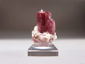 Bold Magenta Pink Rubellite Tourmaline Crystal from Malkhan Pegmatite Field #8 - Picture 1 of 4