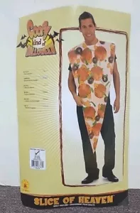Rubie's Goofy Kind of Halloween Adult Pizza Slice Costume One Size Fits All EUC - Picture 1 of 9
