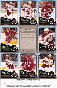 2011-12 OPC O-Pee-Chee Phoenix Coyotes Complete Team Set w/ Leaders (15)