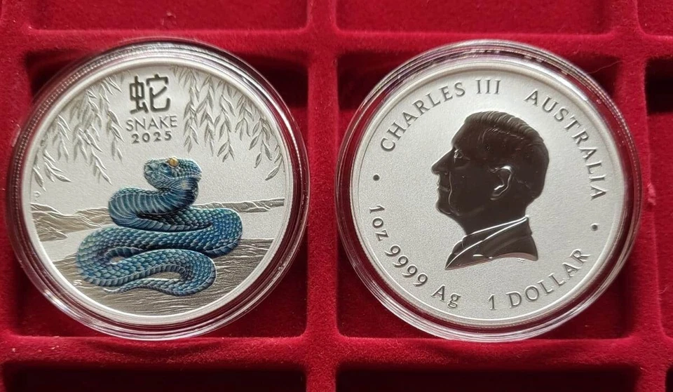 Australia 2025 anno lunare del serpente argento 1oz 9999 Silbermünze colored - Immagine 1 di 1