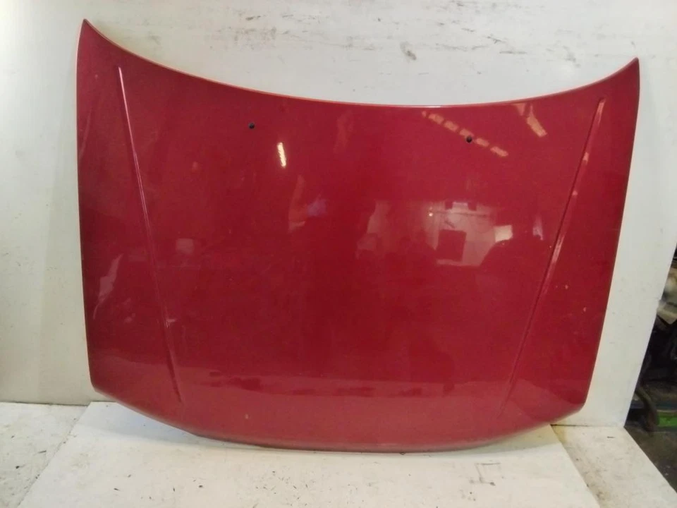 Capo para PEUGEOT 306 3/5 PT. (S1)(01.1993) XND 1996 1696794 - Imagen 1 de 4