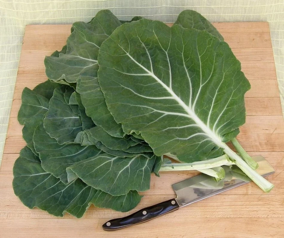 Beira Cabbage Or Sea Kale Gallena Vigorous Wavy Green Leave Thick Fleshy 20 Seed - Image 1 of 1