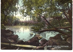 Bud Springs Southern OR unbenutzt - Bild 1 von 2