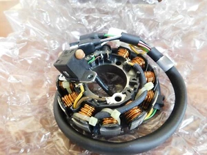 Polaris 3023397 ASM-STATOR GENUINE OEM POLARIS PART 'NEW' $293.95 - Picture 1 of 4