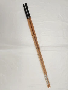 Princeton Catalyst Polytip Bristle 2-Flat Brushes #6400 F Size 2 - Picture 1 of 5