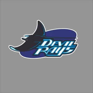 Tampa Bay Rays #16 MLB Team Pro Sports Vinyl Sticker Decal Car Window Wall - Picture 1 of 4