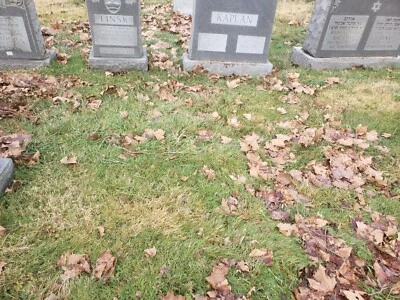 Dos sitios de tumbas, cementerio Har Zion - Collingdale, Pensilvania   Foto 1 de 3