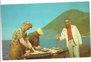 MANN STICHT FISCHE Fischer COD Mont St. Pierre Gaspe Nord Quebec Kanada Postkarte - Bild 1 von 2