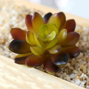 Mini Suculentas Artificiales Planta Falso Cactus para Hogar Jardín Hágalo Usted Mismo Decoración Floral - Imagen 1 de 40