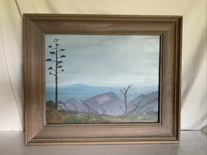 Unknown Artist ~ Mountains/Yucca 23" x19" Acrylic, Wood Frame - Picture 1 of 11