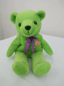 2000 The Cheesecake Factory Key Lime TEDDYBÄR Sitzsack Plüsch - Bild 1 von 6