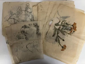Ink painting ×23 &Japanese Novel Binding Book: Old Japanese plants and flowers - Picture 1 of 15