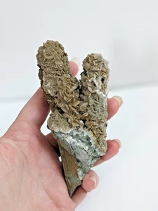 Barite on Quartz Pseudomorph After Calcite Mineral Specimen Cluster 6.95oz - Picture 1 of 7