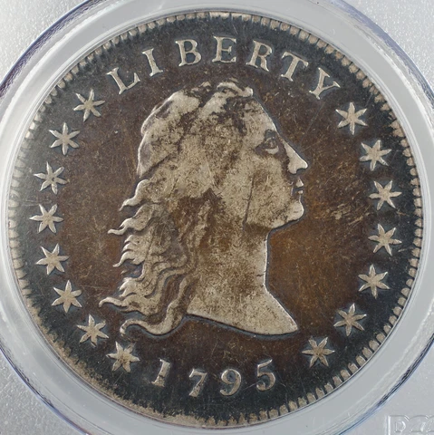 1795 2 Leaves Flowing Hair Silver Dollar Coin B-1, BB-21 PCGS VF Details Cover