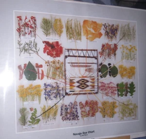 Ella Myers Navajo Dye Chart Toh-Atin Gallery Print 22x18 - Picture 1 of 5
