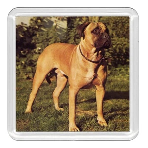 Bullmastiff Dog Acrylic Coaster Novelty Drink Cup Mat Great Gift - Picture 1 of 1