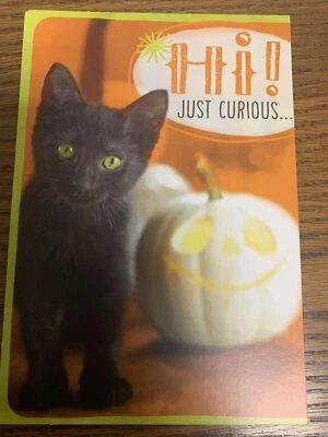 Halloween Black Kitten White Pumpkin Funny 5”x7” Hallmark Greeting Card - Image 1 of 4
