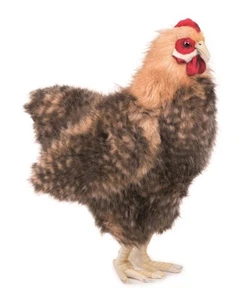 HANSA Beige Hen No.4588 35cm BH4588 - Picture 1 of 9