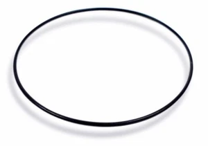 Waterway Valvola Montaggio Superiore Clearwater, Valvola CareFree O-ring 805-0254 - Foto 1 di 1