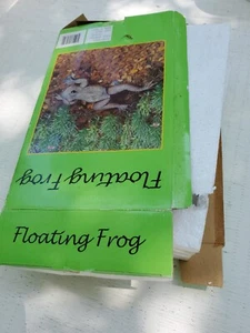 Floating Frog Garden Pond Decoration Vintage Jointed Wood 12" - Picture 1 of 14