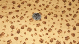 BTY Animals Tracks Quilt Fabric Flannel Imprints of the Wilderness - Picture 1 of 2