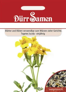 Würz - Tagetes Tagetes lucida Samen von Dürr Samen ca 50 Korn essbare Blüten - Picture 1 of 1