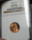 1987-D Lincoln Cent  --- NCG MS-66 RED Red Graded Slabbed  --- #597A