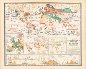 Geographical Distribution of Important Plants 1854 Map A1 Art Print - Picture 1 of 1