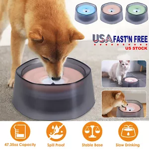 Pet Dogs Water Bowl Slow Water Feeder Dish No Spill Splash Proof for Cats 47oz - Picture 1 of 32